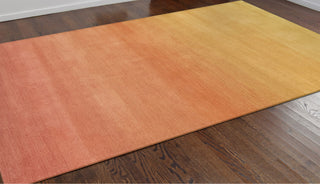 Trans Ocean ARCA Ombre Blush Area Rug Mirror by Liora Manne 