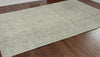 Trans Ocean Savannah Fantasy Pastel Area Rug by Liora Manne  Feature