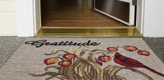 Trans Ocean Frontporch Gratitude Neutral Area Rug by Liora Manne  Feature