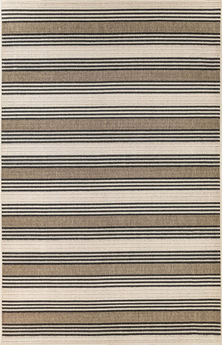 Trans Ocean Riviera Stripe Tan Area Rug Mirror by Liora Manne main image