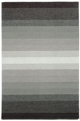 Trans Ocean Ravella Ombre Grey Area Rug Main