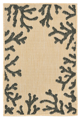 Trans Ocean Terrace Coral Bdr Natural Area Rug Main