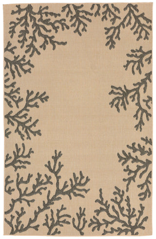 Trans Ocean Terrace Coral Bdr Natural Area Rug main image