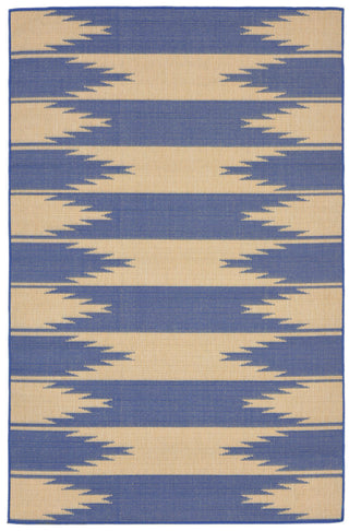 Trans Ocean Terrace Taos Blue Area Rug main image