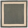 Trans Ocean Terrace Border Grey Area Rug by Liora Manne