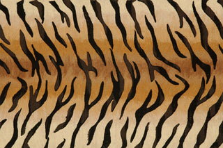 Trans Ocean Visions III Tiger Brown Area Rug main image