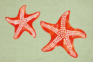 Trans Ocean Visions III Star Fish Green Area Rug main image