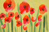 Trans Ocean Visions IV Poppies Red Area Rug main image