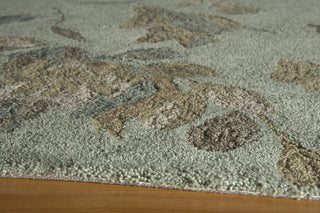 Momeni Transitions TS-05 Sage Area Rug Closeup