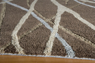 Momeni Transitions TS-17 Brown Area Rug Closeup