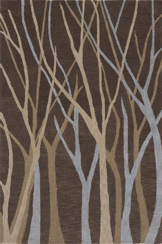 Momeni Transitions TS-17 Brown Area Rug main image