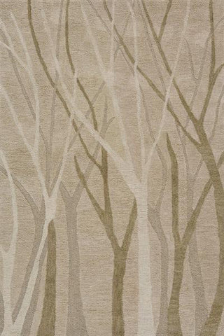 Momeni Transitions TS-17 Sand Area Rug main image