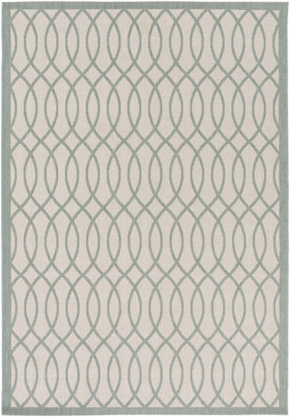 Surya Terrace TRC-1001 Area Rug 5'2'' x 7'6''