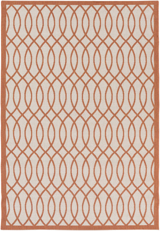 Surya Terrace TRC-1003 Area Rug 5'2'' x 7'6''