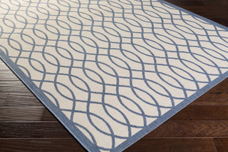 Surya Terrace TRC-1004 Dark Blue Area Rug by Candice Olson Corner Shot