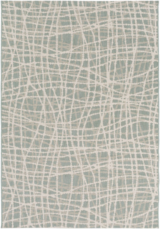 Surya Terrace TRC-1007 Area Rug 5'2'' x 7'6''