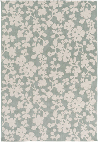 Surya Terrace TRC-1019 Area Rug 5'2'' x 7'6''