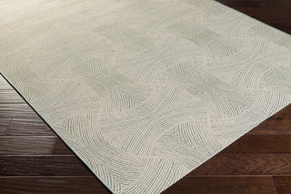 Surya Terrace TRC-1031 Sage Area Rug by Candice Olson Corner Shot