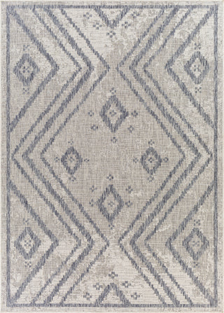 Surya Tuareg TRG-2312 Area Rug main image