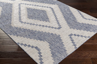 Surya Tuareg TRG-2337 Area Rug Corner Shot