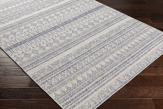 Surya Tuareg TRG-2338 Area Rug Corner Shot