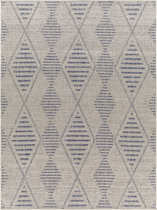 Surya Tuareg TRG-2349 Area Rug main image