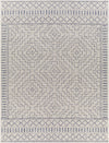 Surya Tuareg TRG-2353 Area Rug main image