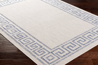 Surya Tuareg TRG-2379 Area Rug Corner Shot