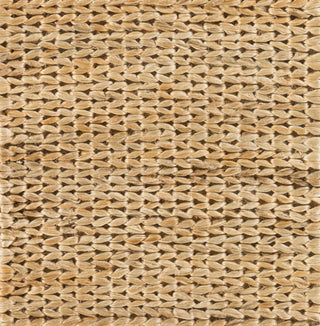 Surya Tropics TRO-1009 Area Rug