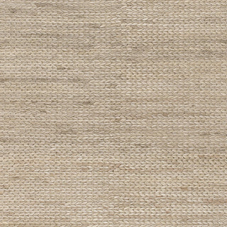 Surya Tropics TRO-1009 Beige Area Rug Sample Swatch