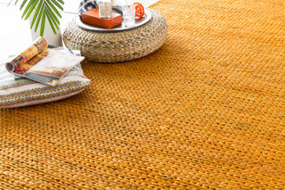 Surya Tropics TRO-1015 Burnt Orange Hand Woven Area Rug 