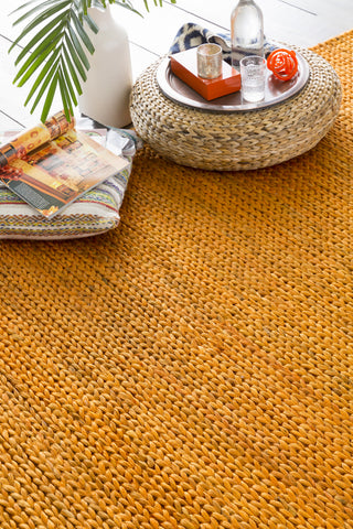 Surya Tropics TRO-1015 Burnt Orange Hand Woven Area Rug 