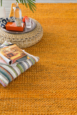 Surya Tropics TRO-1015 Burnt Orange Hand Woven Area Rug 