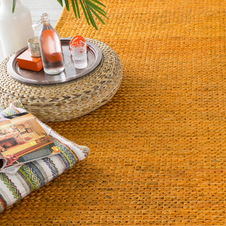 Surya Tropics TRO-1015 Burnt Orange Hand Woven Area Rug 