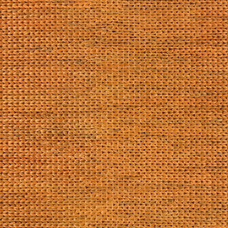 Surya Tropics TRO-1015 Burnt Orange Hand Woven Area Rug Sample Swatch