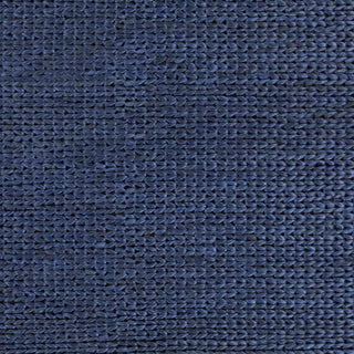 Surya Tropics TRO-1018 Navy Hand Woven Area Rug Sample Swatch