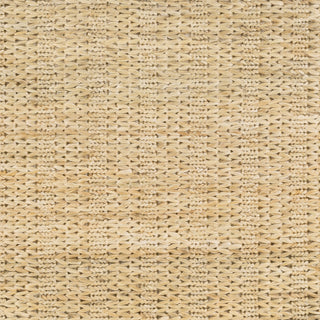 Surya Tropics TRO-1025 Sea Foam Hand Woven Area Rug Sample Swatch