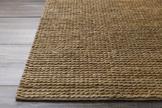 Surya Tropics TRO-1037 Beige Hand Woven Area Rug 