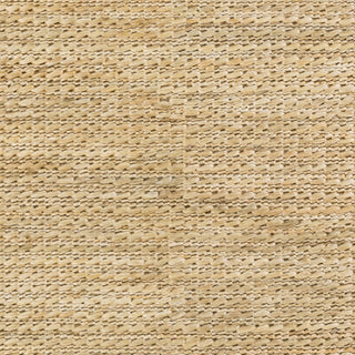 Surya Tropics TRO-1037 Beige Hand Woven Area Rug Sample Swatch