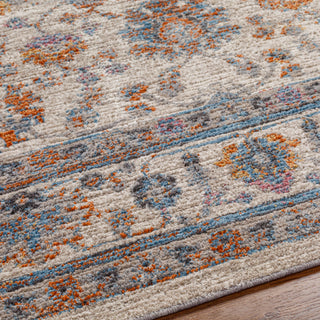 Surya Toronto TRT-2301 Area Rug Detail