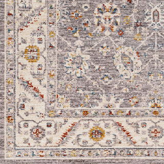 Surya Truva TRV-2302 Area Rug Swatch