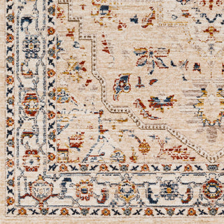 Surya Truva TRV-2304 Area Rug Swatch