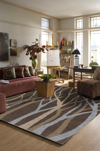 Momeni Transitions TS-17 Brown Area Rug Main