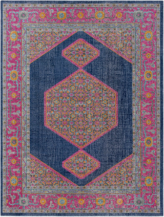 Surya Tessera TSE-1002 Blue/Pink Area Rug 7'10'' X 10'3''