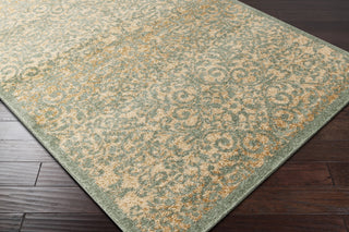 Surya Tatil TTL-1017 Sage Machine Woven Area Rug Corner Shot