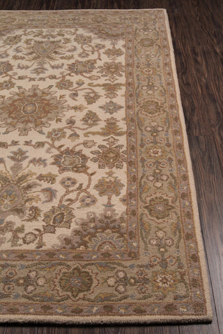 Momeni Tudor TUD-2 Beige Area Rug Detail Shot Feature