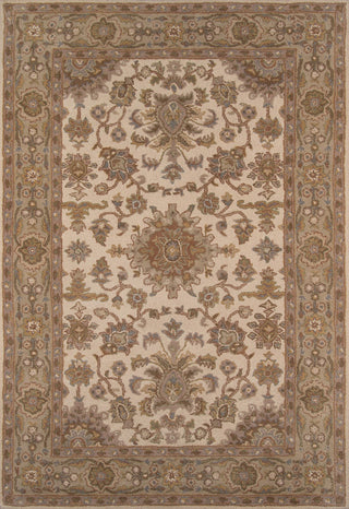 Momeni Tudor TUD-2 Beige Area Rug main image