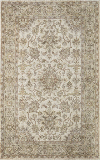 Momeni Tudor TUD-2 Beige Area Rug Main