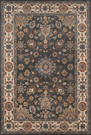 Momeni Tudor TUD-4 Grey Area Rug main image