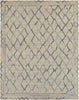 Ancient Boundaries Tunis TUN-09 Natural / Browns Area Rug main image